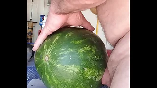 Shacking up a watermelon